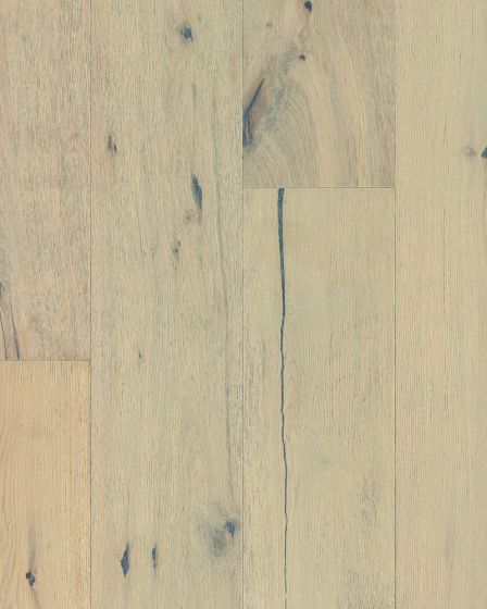 Nature's Canvas Silver White Oak Winter Forest Hardwood