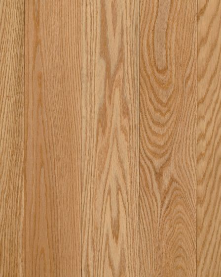 Natural Forest Oak 3 1/4" Natural Hardwood