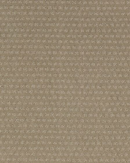 Luxurious Moment Toasted Almond Carpet