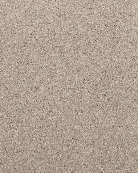 Willow Creek Textured SmartStrand 40oz Carpet