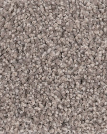 Oracle Stucco Carpet