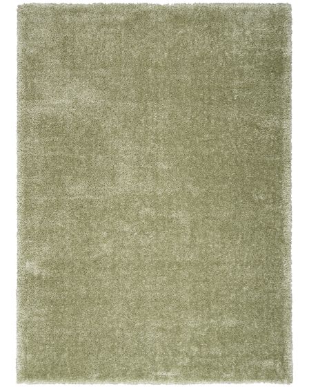 Pacific Shag PCS01 Green Area Rug