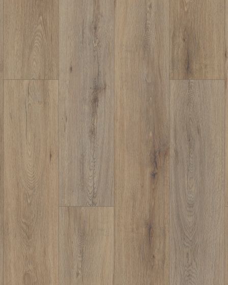 Paladin Plus Wild Dunes Luxury Vinyl