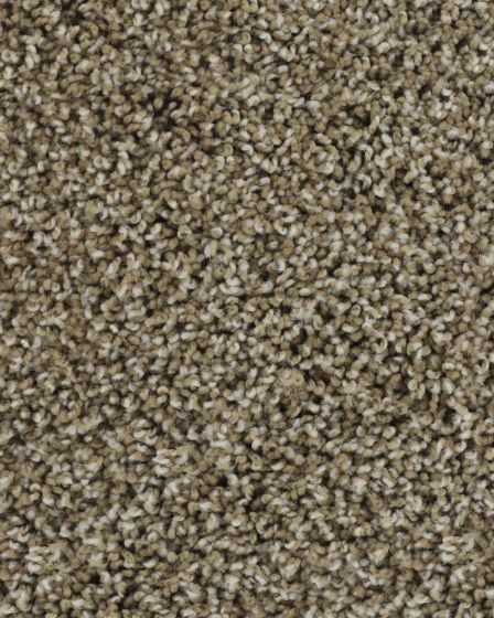 Posh Beauty Textured SmartStrand Carpet