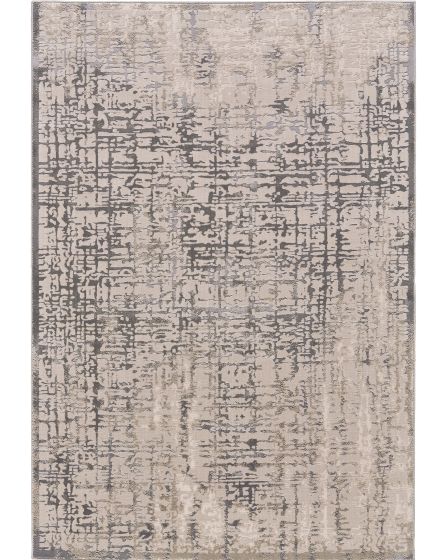 Prasad 3683F Gray/Ivory Area Rug