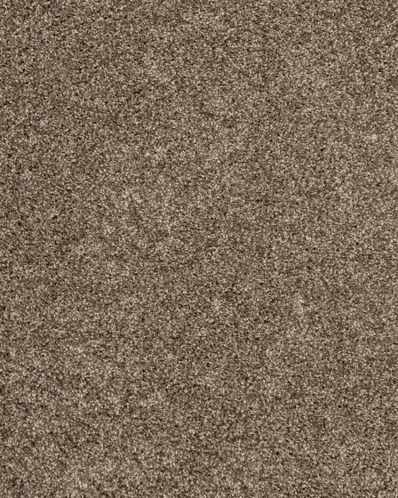 Purrsonality I Legend Carpet