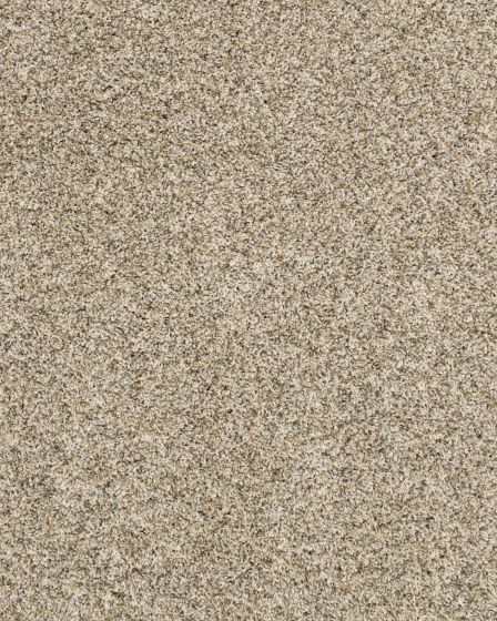 Purrsonality II Pet Friendly 60oz Carpet