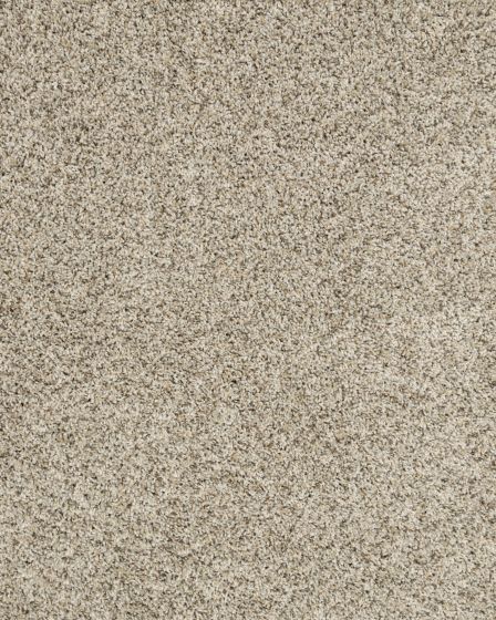 Raise The Woof II Pet Friendly 53oz Carpet