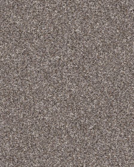 Refined Chic Alaskan Air Textured Carpet