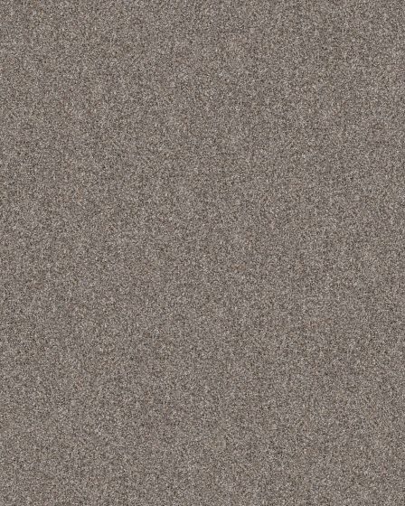 Refined Chic Chic Greige Textured Carpet