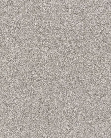 Refined Chic Frozen Textured Carpet