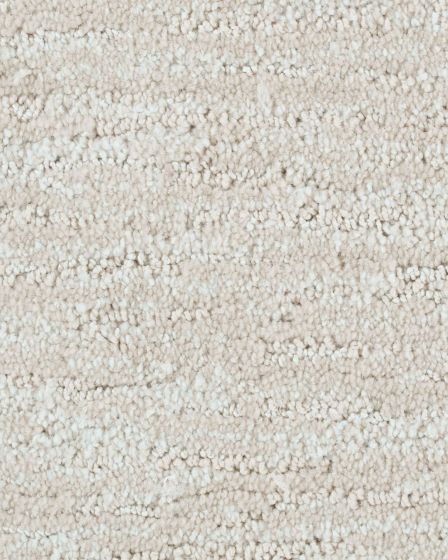 Rich Desire Sand Dollar Carpet
