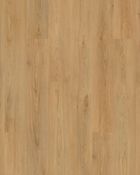 Barker Hollow SolidTech Plus Daisy Luxury Vinyl