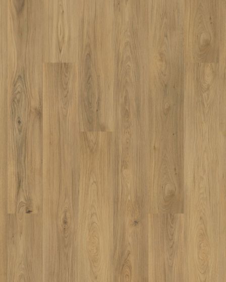 Barker Hollow SolidTech Plus Chance Luxury Vinyl