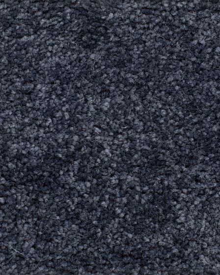 Sheer Essence Starry Night Carpet