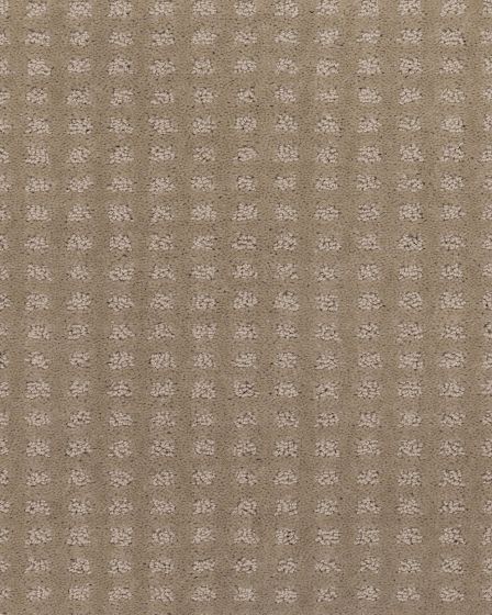 Structural Charm Seashell Carpet