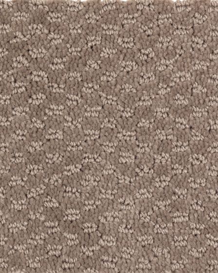 Subtle Allure Bungalow Carpet