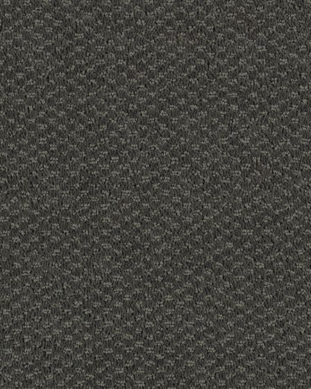 Subtle Allure Ironstone Carpet