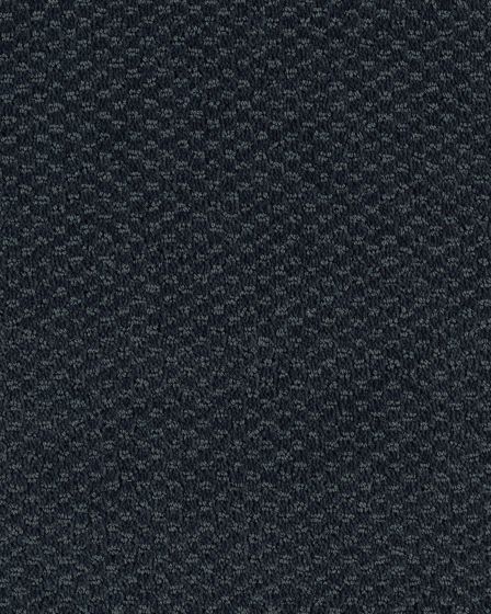 Subtle Allure Patterned SmartStrand Carpet