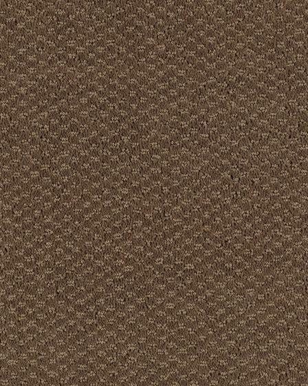 Subtle Allure Sequoia Carpet