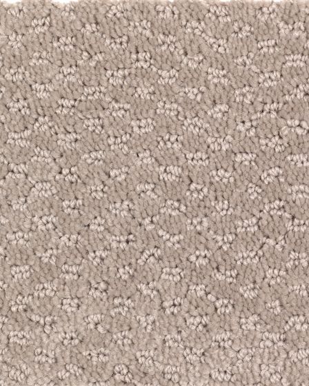 Subtle Allure Willow Bark Carpet