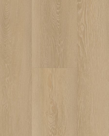 Cali Windansea High Tide Sunset Swell Vinyl