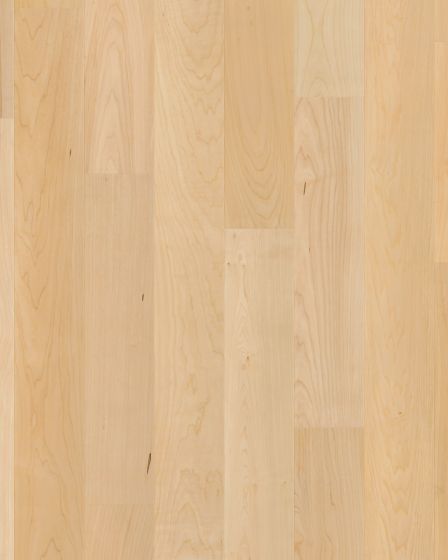 Natural Classics Hard Maple 5" Hardwood