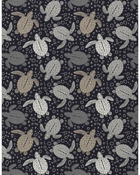 Seabreeze SZ13 Black Area Rug