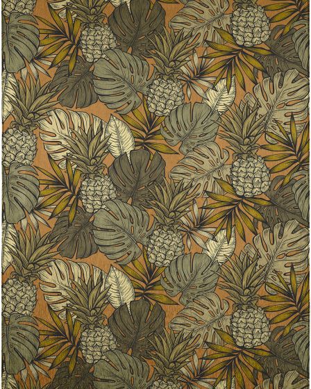 Tropics TC11 Clay Area Rug