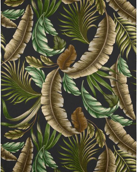 Tropics TC1 Black Area Rug