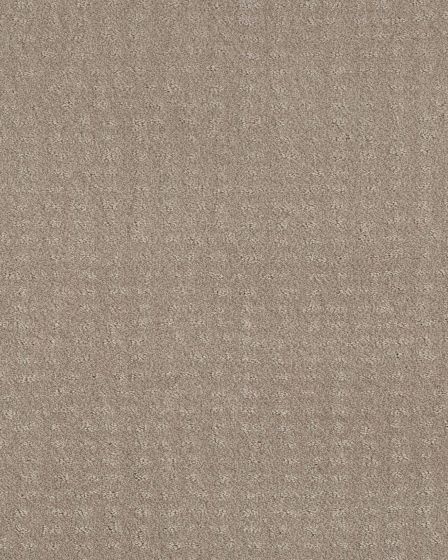 Trendy Fossil Path Carpet