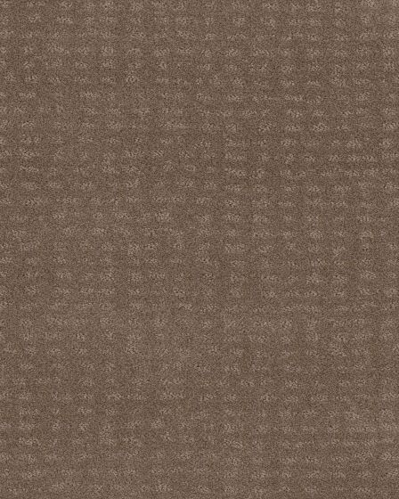 Trendy Raw Wood Carpet