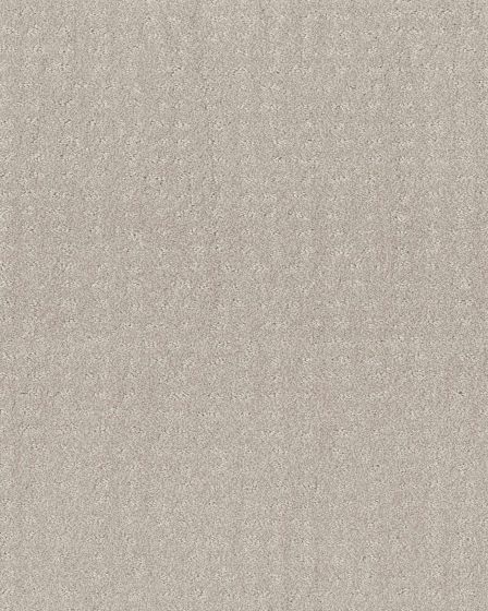 Trendy Winters Dawn Carpet