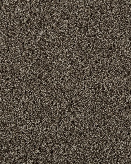 Value 42 Spice Brown Textured Everstrand 42oz Carpet