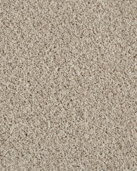 Value 42 Textured Everstrand Polyester 42oz Carpet