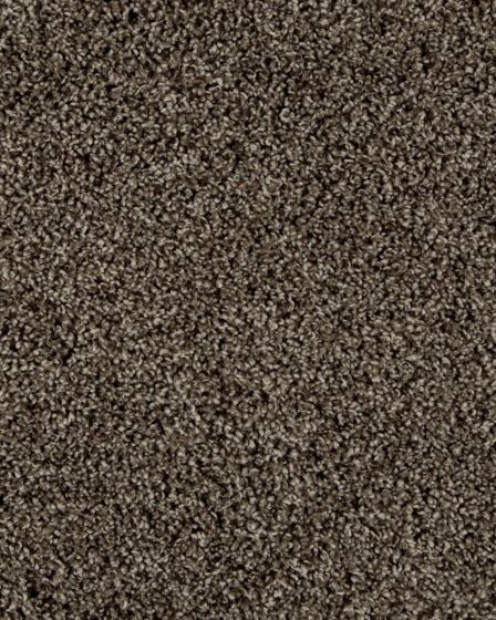 Value 60 Spice Brown Textured Everstrand 57oz Carpet