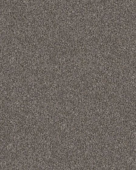 Confidence II Marble Textured Carpet