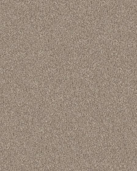 Confidence II Natural Textured Carpet