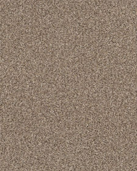 Confidence III Textured Pet Friendly 68oz Carpet