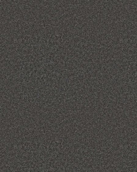 Positively Radiant III Shadow Carpet