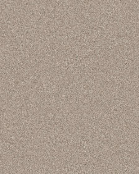 You Got This I Subtle Clay Carpet