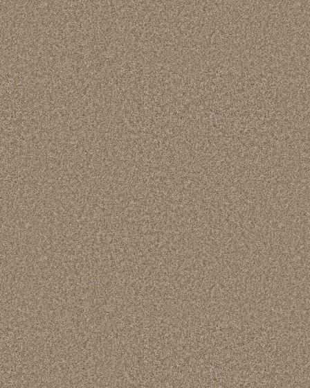 Positively Radiant I Worn Path Carpet