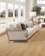 Barker Hollow SolidTech Plus Daisy Luxury Vinyl