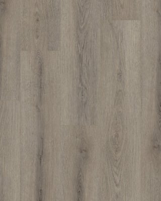 Shaw Paladin Plus Ashen Brown - Luxury Vinyl