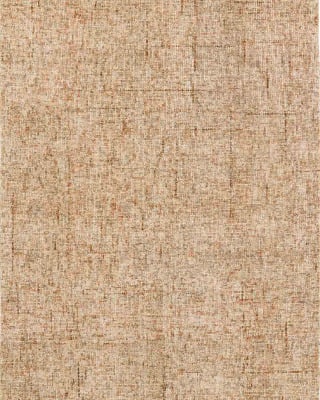 Calisa CS5 Desert Area Rug