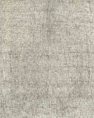 Calisa CS5 Fog Area Rug