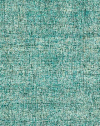 Calisa CS5 Turquoise Area Rug