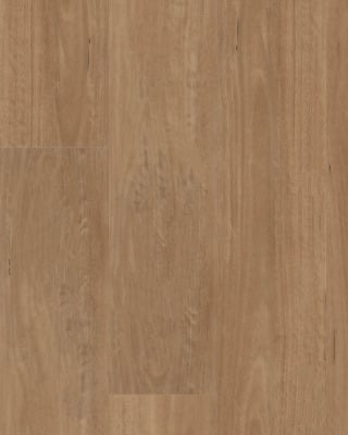 Shaw Aspire Natural Bevel Coastal Drift Luxury Vinyl