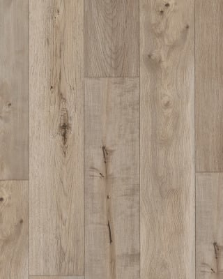 Anthology Parchment Restoration 7" Laminate
