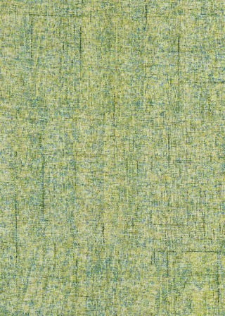 Calisa CS5 Kiwi Area Rug